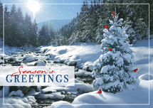 Featured category: Personal Holiday Cards