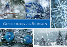 Icy Blue Wonder Holiday Cards